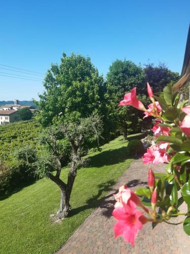 Valdobbiadene Apartment | Ca dei Giari