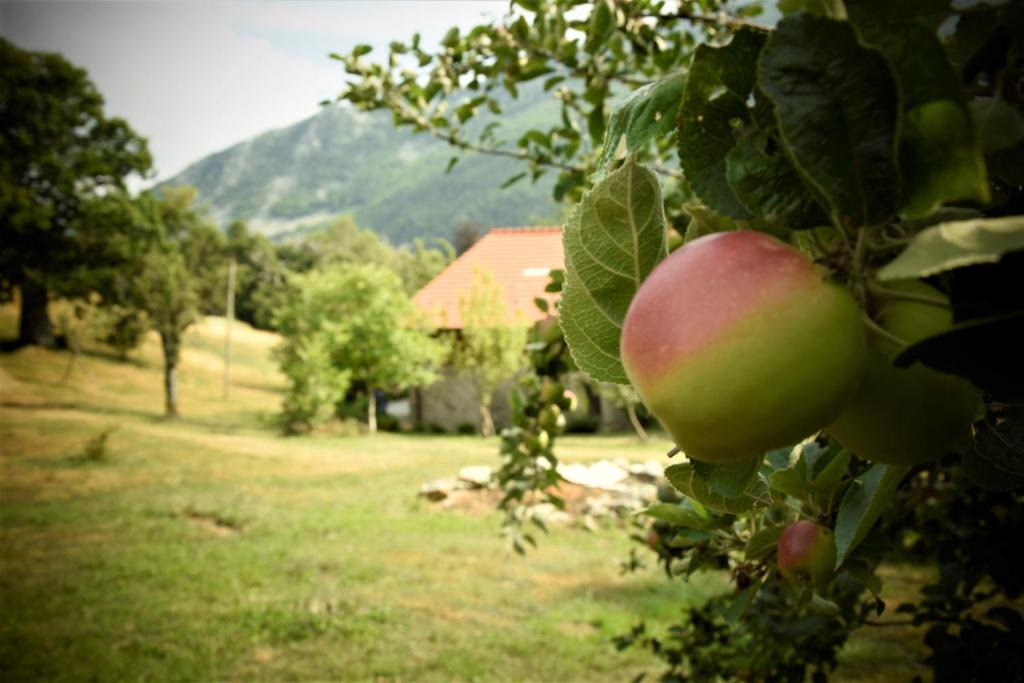 Garessio Bed & Breakfast | Ca-Jo Bed and Breakfast