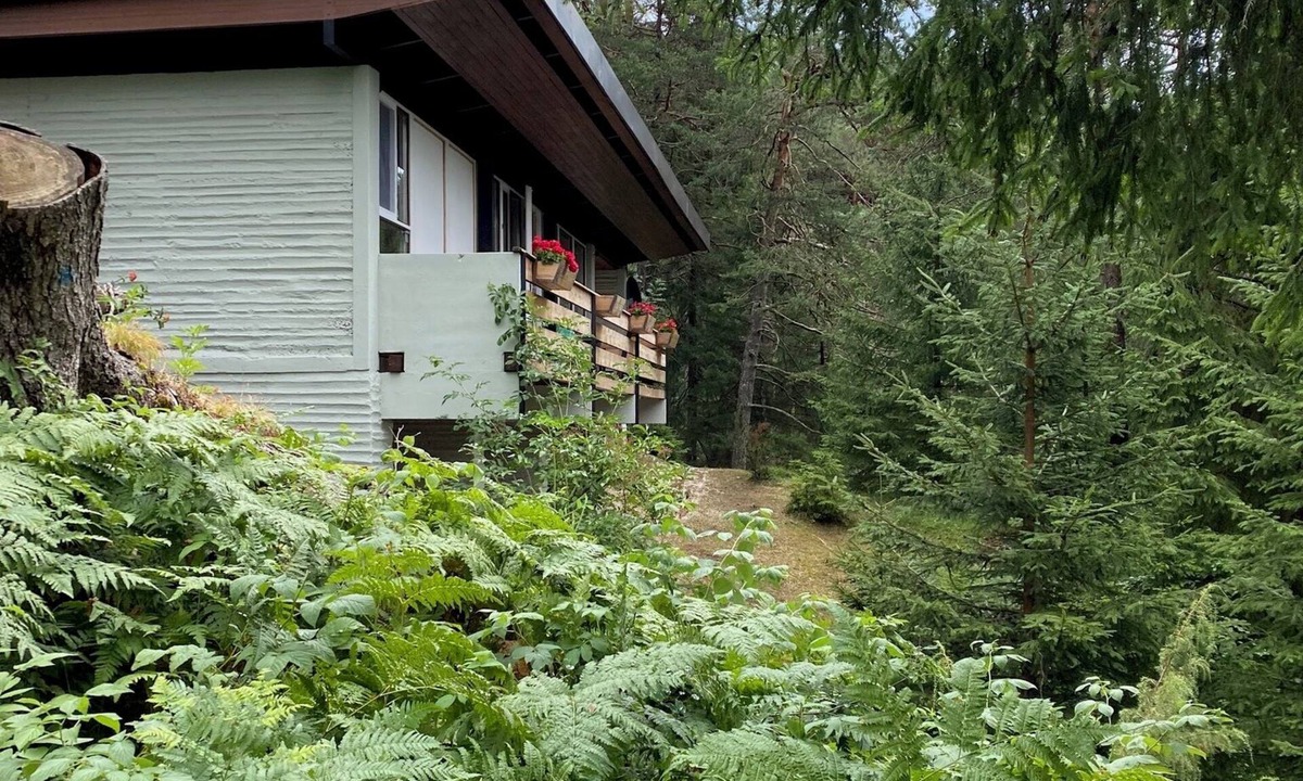 Borca di Cadore Ski Chalet | Ca' Mugo, a dream chalet in the enchanted forest, near Cortina