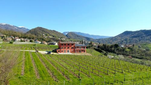 Tarzo House | Ca' Perenzin