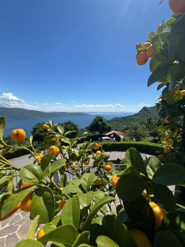 Gargnano Hotel | Ca Vecia