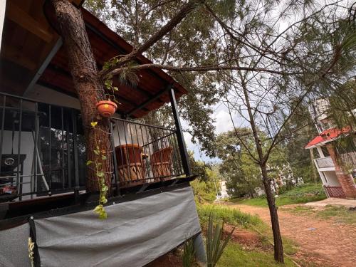 Mazamitla House | Cabaña el roble