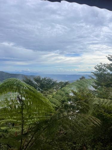 Quebrada La Gamba House | Cabaña las Bromelia