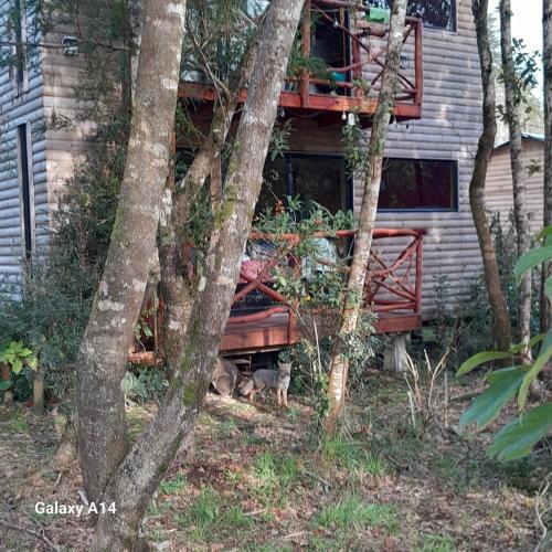 Puerto Octay Apartment | Cabaña Las Cascadas