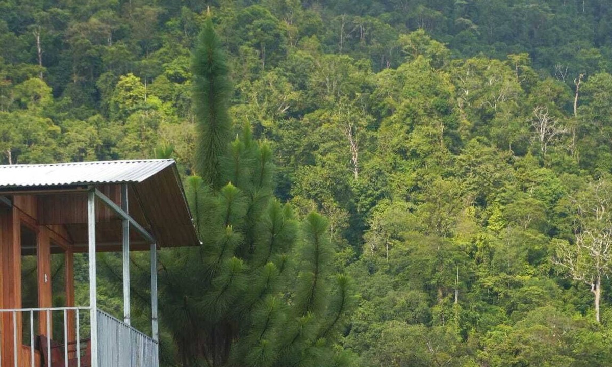 Baru Cottage | Cabaña para dos con una increíble vista al bosque de Platanillo