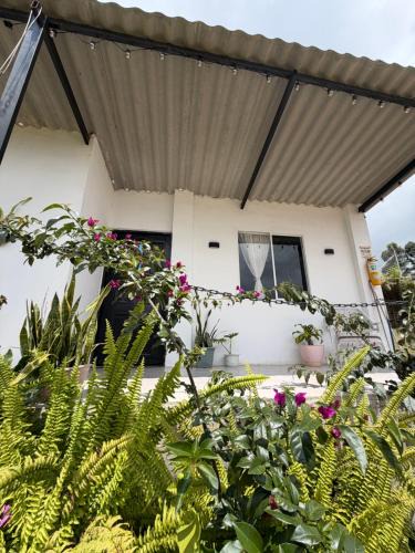 Santa Rosa de Cabal Ski Chalet | Cabaña privada cerca a termales San Vicente