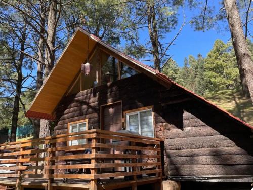 Salazar Other | Cabaña sequoya