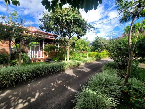 Santa Maria Apartment | Cabañas Barú Dota