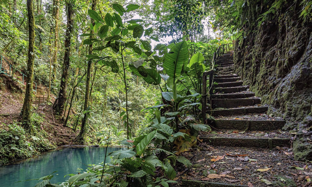 Penas Blancas Cabin | Cabañas Caeli Rainforest Glass Cabin La Perezosa La Fortuna