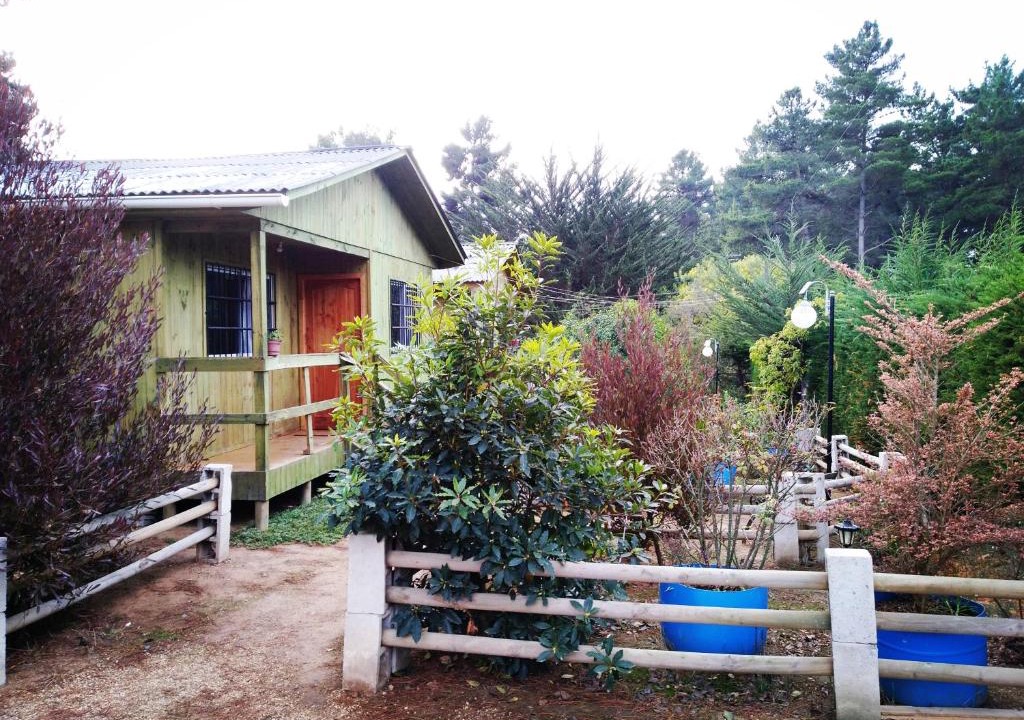 Algarrobo House | Cabañas El Colibrí