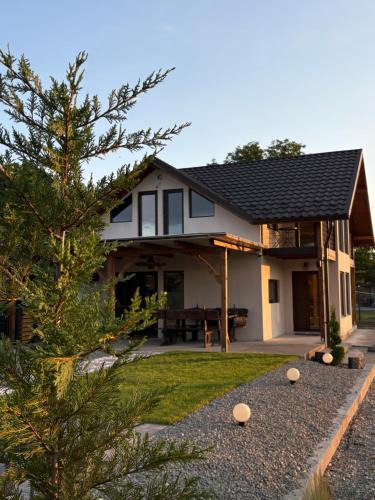 Ocna Mures House | Cabana Carpatin