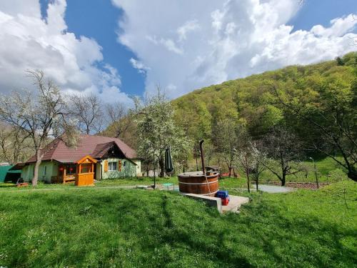 Blidari Cabin | Cabana Ciupercuța