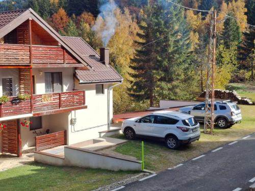 Rausor House | Cabana Denisa