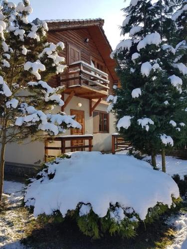 Vetel House | Cabana dintre Brazi