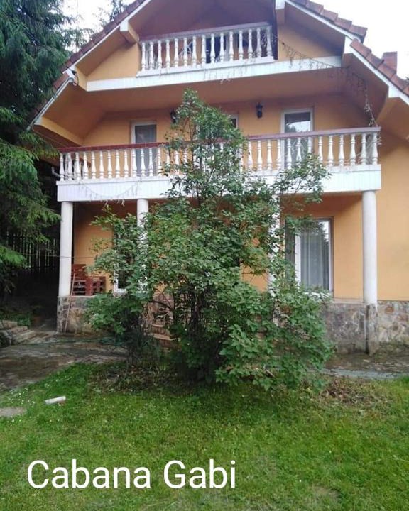 Bratca House | Cabana Gabriella