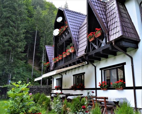 Lunca Jaristei Cabin | Cabana Hartagu