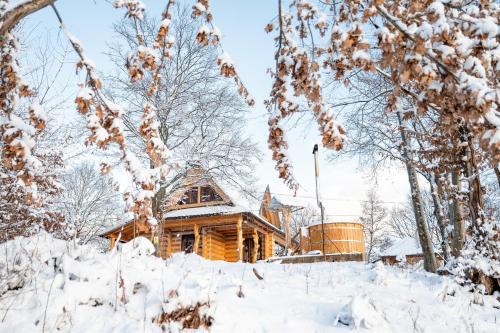 Ibanesti Ski Chalet | Cabana - La Cires