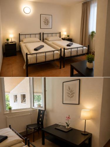 Arad House | Cabana Lir