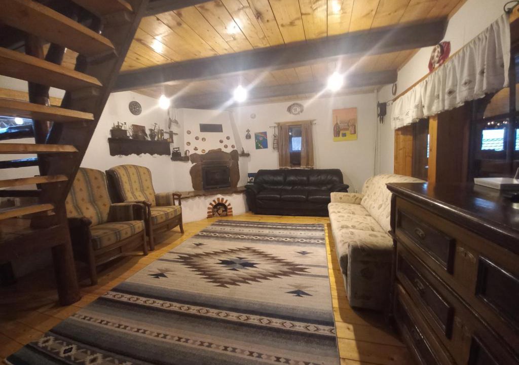 Cavnic House | Cabana Logolda