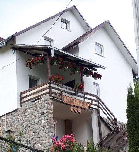 Petrosani House | Cabana Maly
