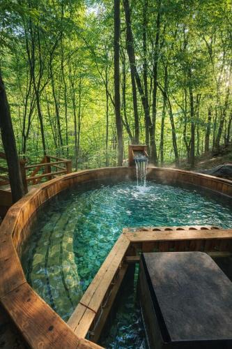 Toplet Cabin | Cabana Manea Forest Hub