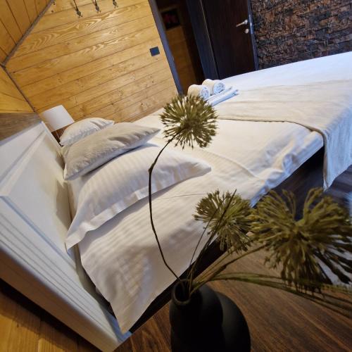 Borsa House | Cabana Tesa Borșa MM