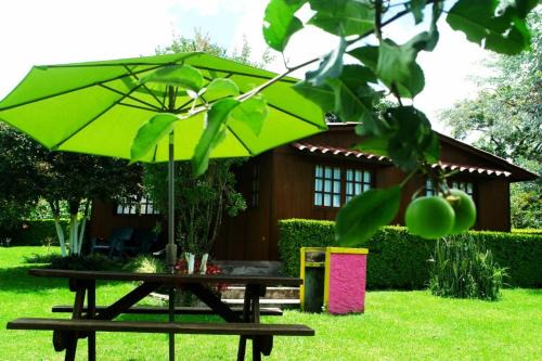 Xico Resort | Cabanas la Chicharra