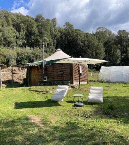 Olivese House | Cabane 2