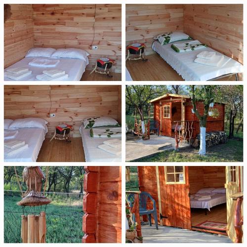 Prahova County Other | CABANE Nadejda SPERANTA