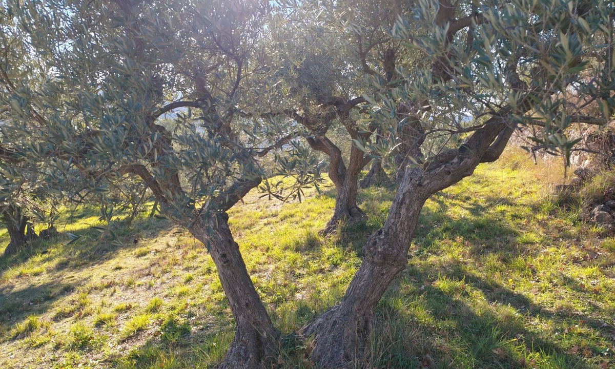 Sillans-la Cascade House | Cabanon provençal: the lezards