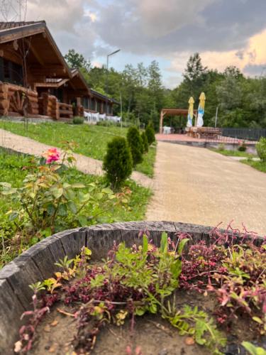 Salatrucel Cabin | Cabanutele M&V INFINIT