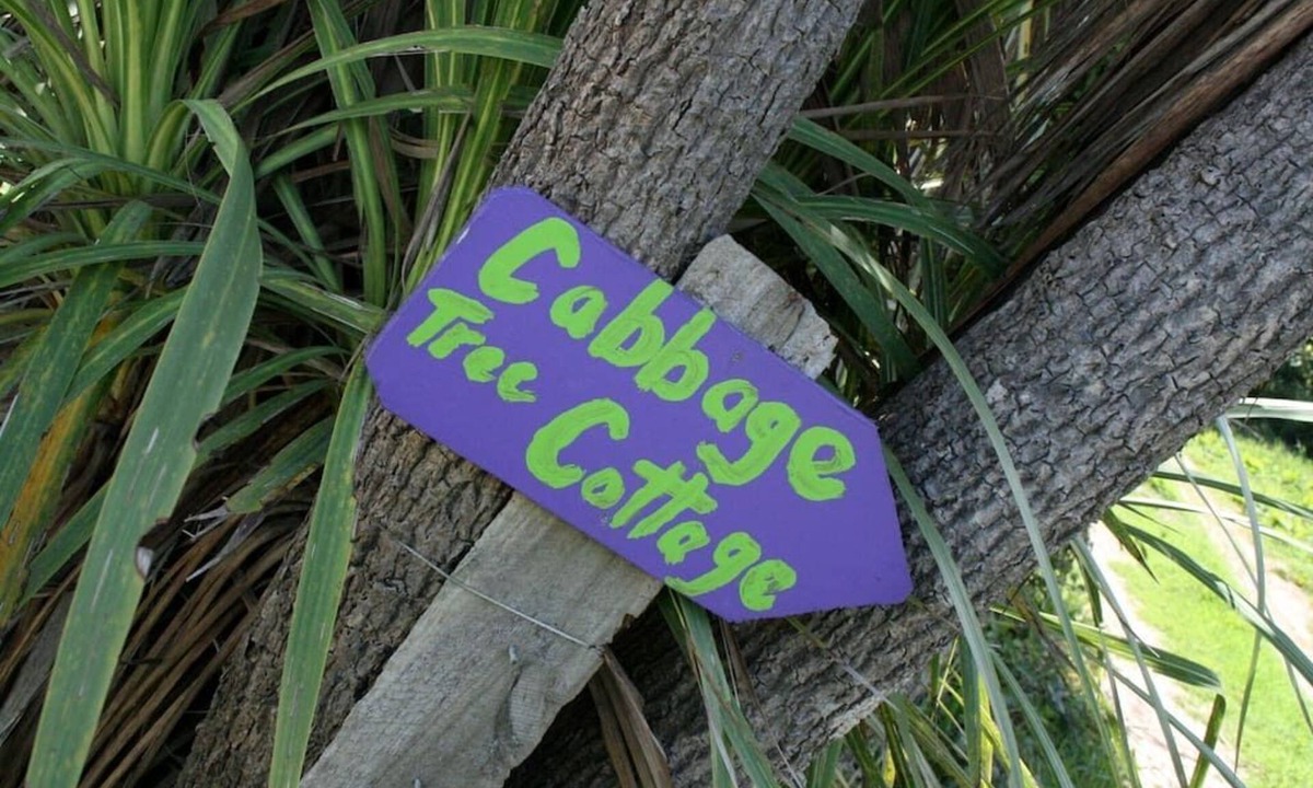 Mokihinui Cottage | Cabbage Tree Cottage - Beautiful home, stunning location. Pet-friendly.