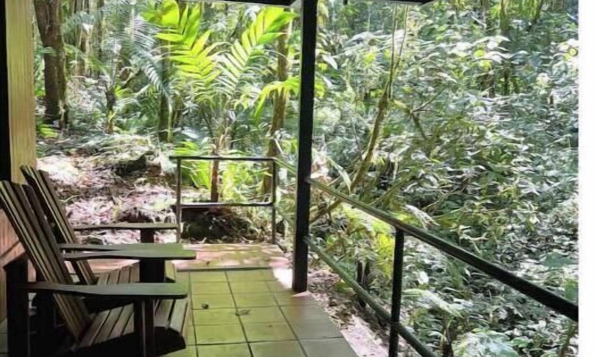 Cerro Punta Apartment | Cabin inside cloudforest “PILA” floor 1