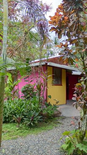 Cahuita Hostel | Cabinas Algebra