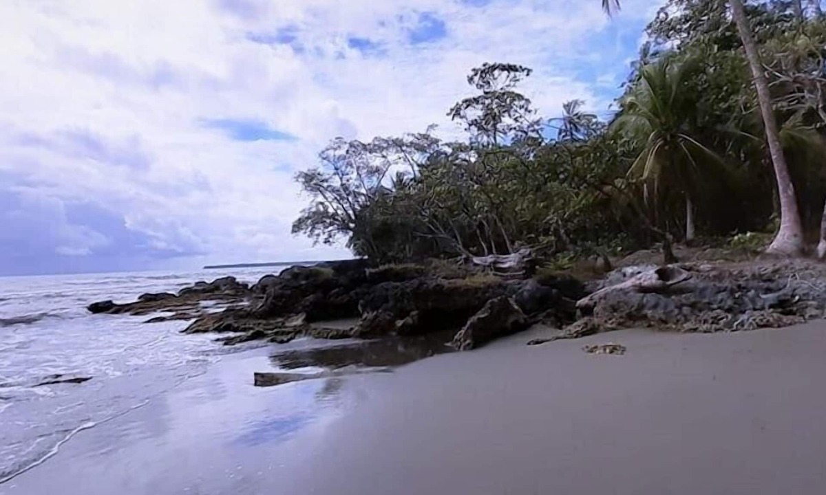 Cahuita Hotel | Cabinas Algebra