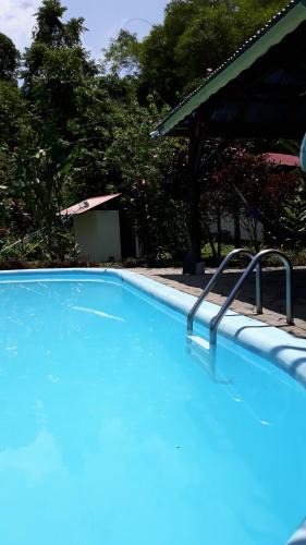 Cahuita Hostel | Cabinas Nirvana