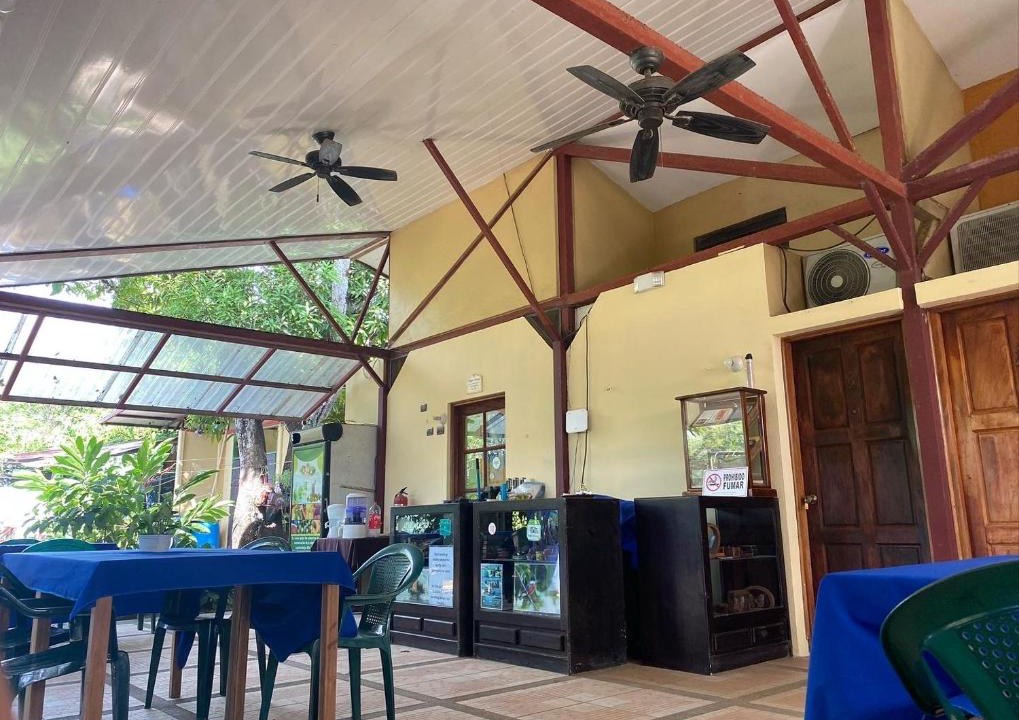 Ostional Hostel | Cabinas surf Arribadas