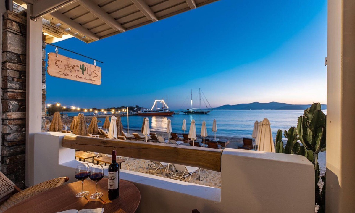 Agia Anna House | cactus suites