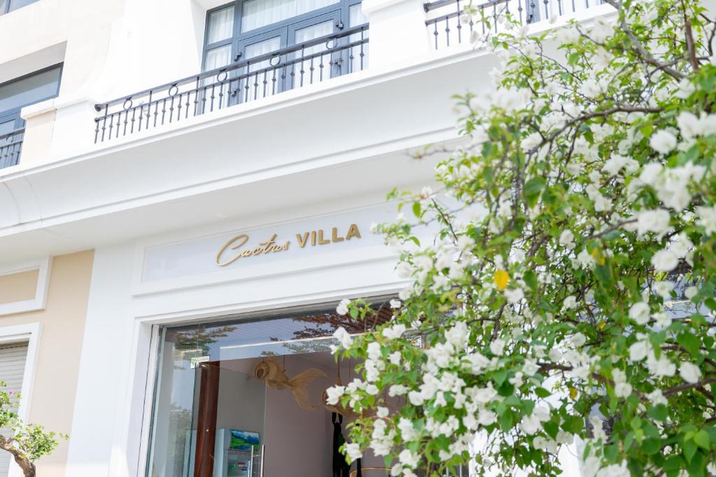 Bao Ninh Apartment | Cactus Villa