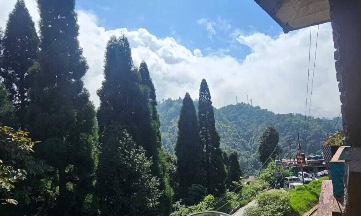 Darjeeling Hostel | Cafe & Stay
