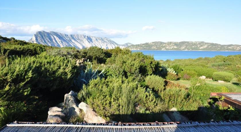 San Teodoro House | Cala Paradiso -Appartament