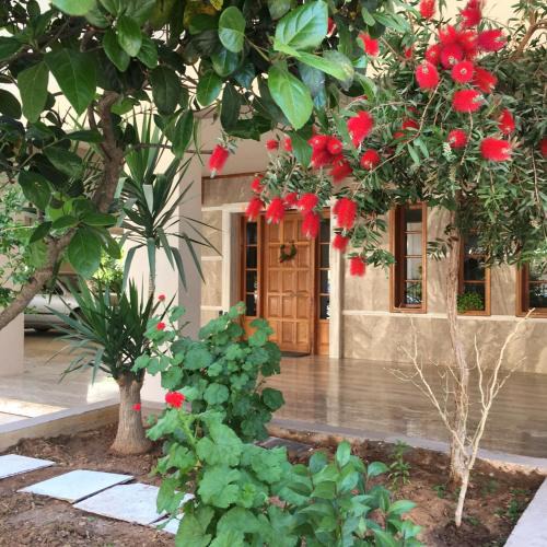 Nafplion City Centre Apartment | Camelia Apartment