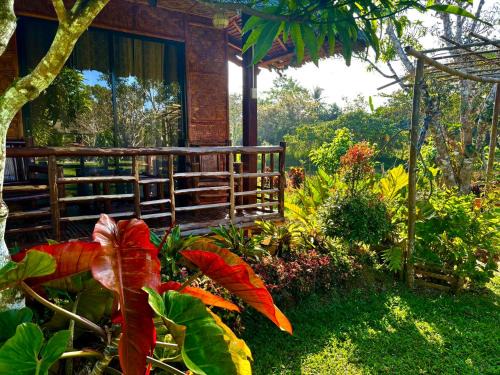 Bilar Other | Camelo Farm