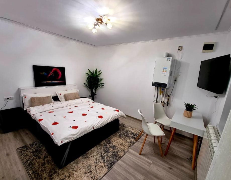 Comanesti Apartment | Camera/garsoniera in regim hotelier