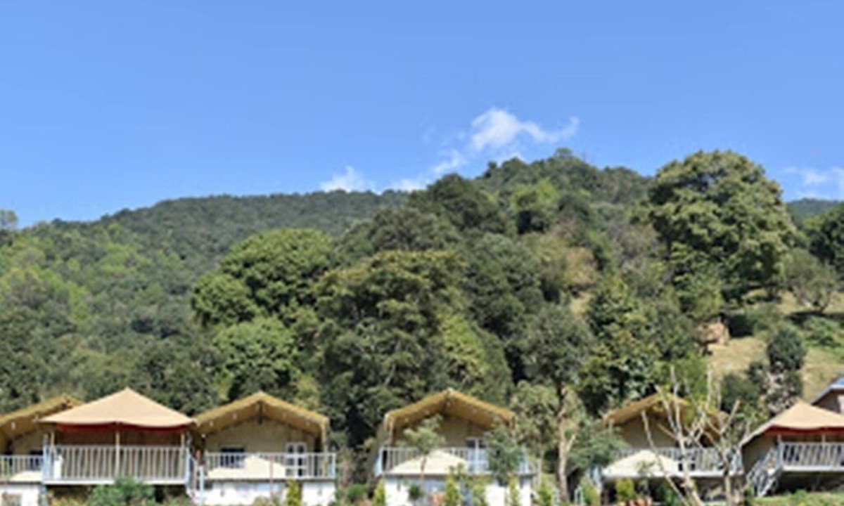 Bir House | Camp Cedar