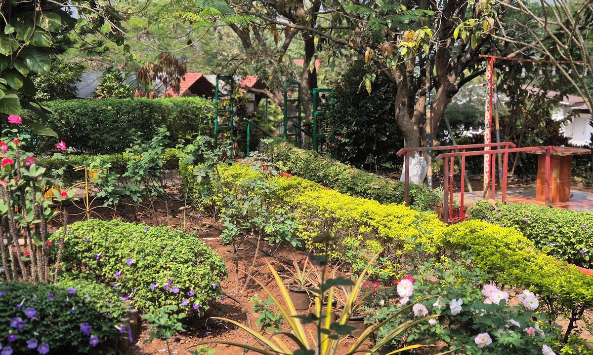 Paud Hotel | Camp Temgarh