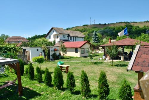 Turda Other | Camping La Foisor Turda