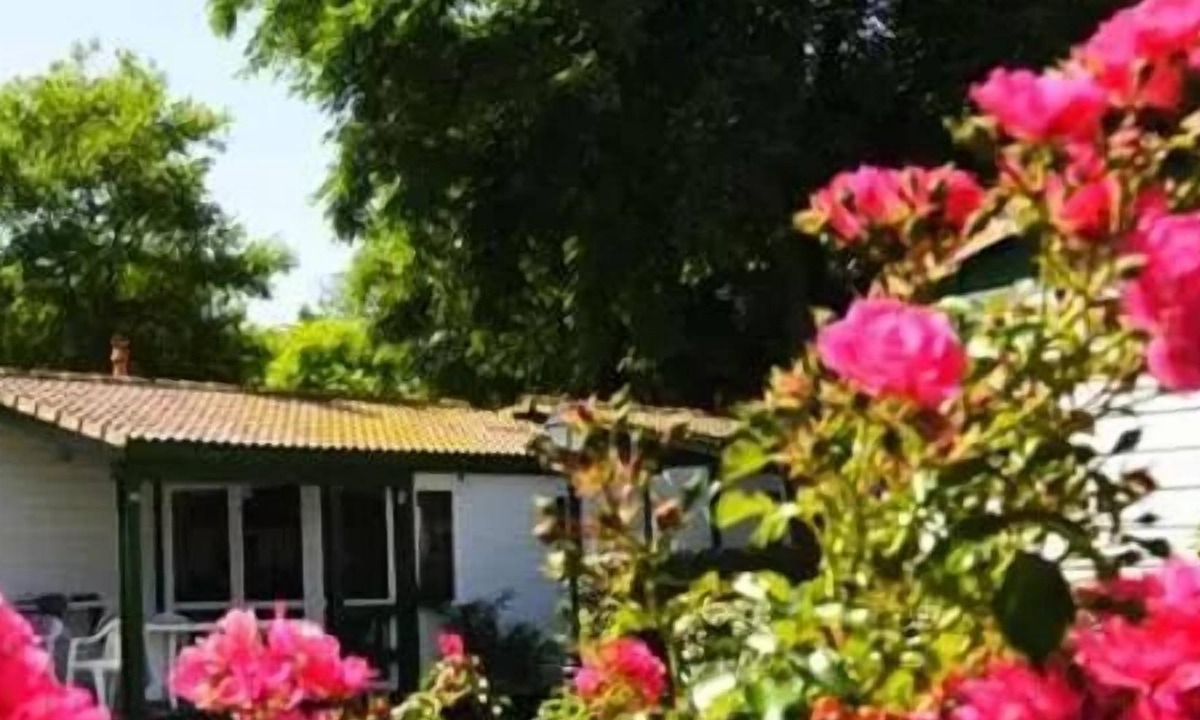 Saint-Georges-d'Oleron Ski Chalet | Camping Les Gros Joncs ***** - Chalet for 4 People
