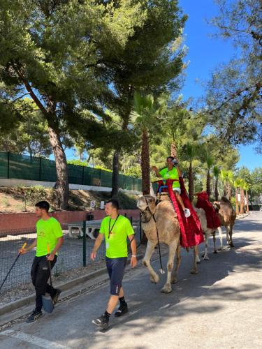Vitrolles Other | Camping Marina Plage