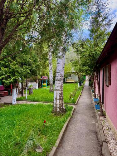 Onesti Resort | Camping Paradisul Soferilor